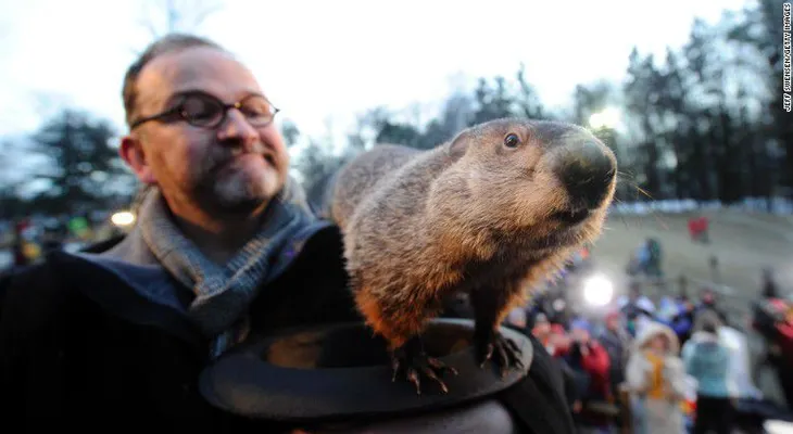 ¡Ya viene la primavera!, dice la marmota Phil