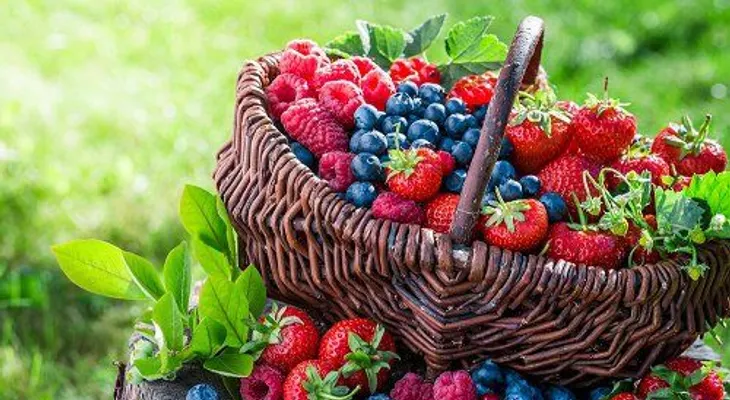 Dieta para prevenir el cáncer de piel