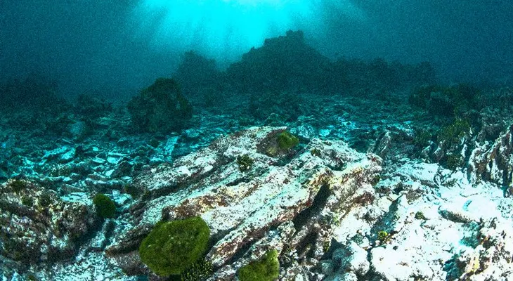 Google Earth descubre una presunta ciudad submarina, oculta en las costas de México (VIDEO)