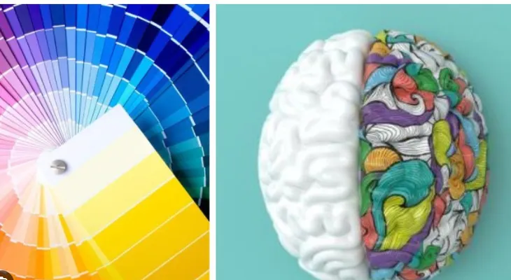 Los colores de la inteligencia: lo que tu preferencia revela de ti