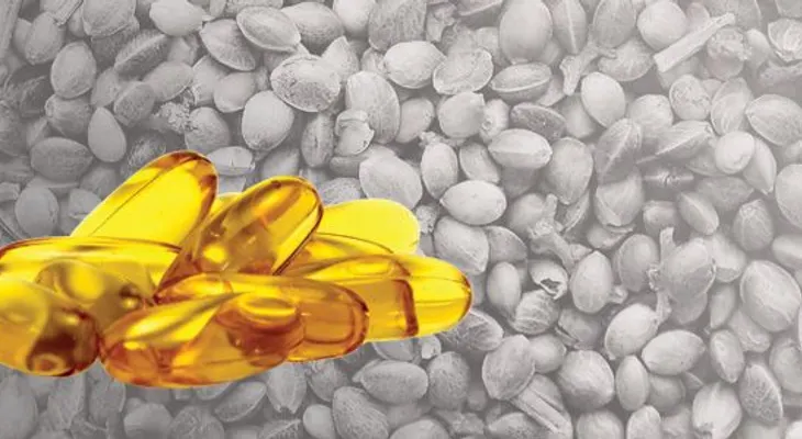 Beneficios de la semilla de cáñamo para la salud