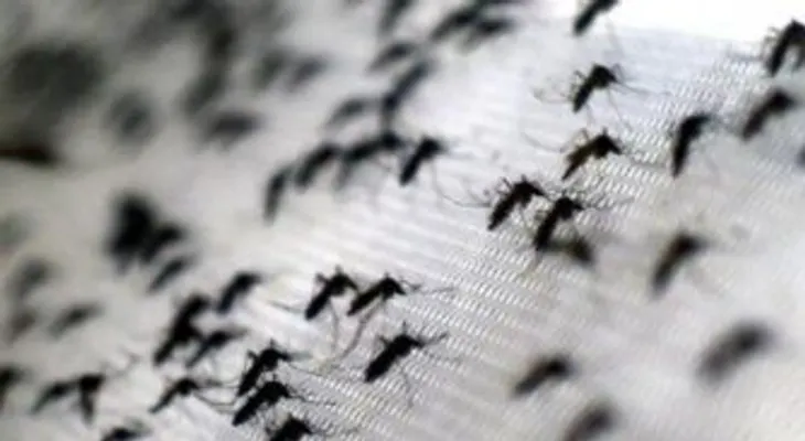 Más de 13 mil casos confirmados de Zika en Colombia