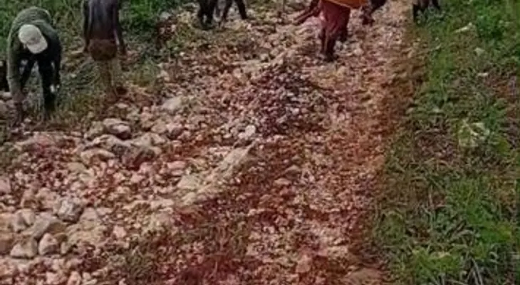 Lluvias deterioran caminos agrícolas de Pedernales