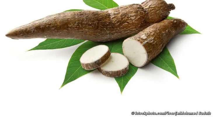 La yuca es ideal en niños en crecimiento y en adolescentes en desarrollo