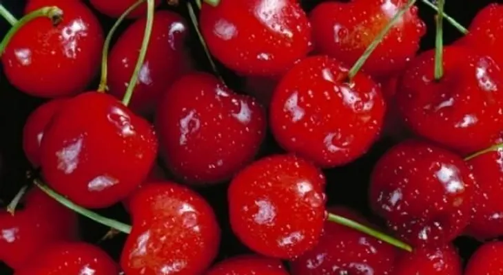 Conoce los alimentos que desinflaman y ayudan a perder peso