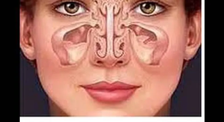 Masaje facial para la sinusitis. Facial massage for sinusitis. ECODAISY