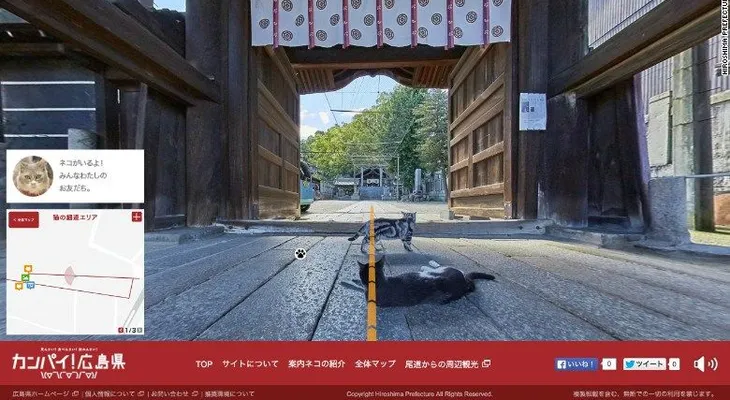 Nuevo mapa te permite ver calles de Japón a través de los ojos de un gato
