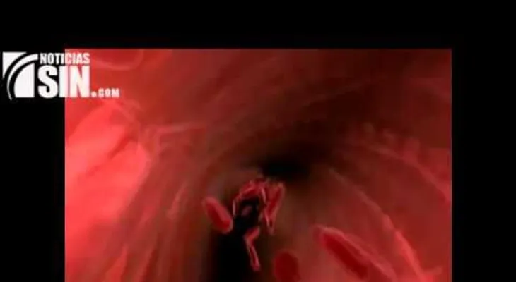 El colesterol: sustancia que existe naturalmente en el cuerpo (Video)