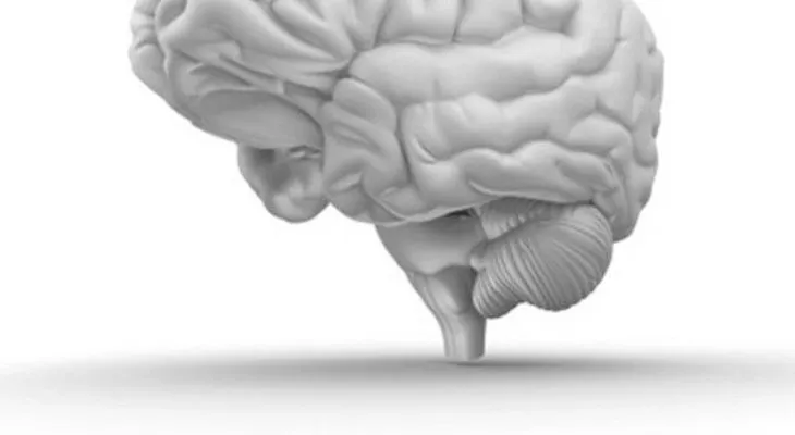 Una proteína que protege contra el alzhéimer