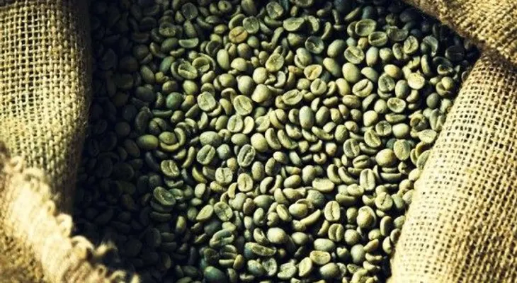 ¿Funciona el café verde para adelgazar?