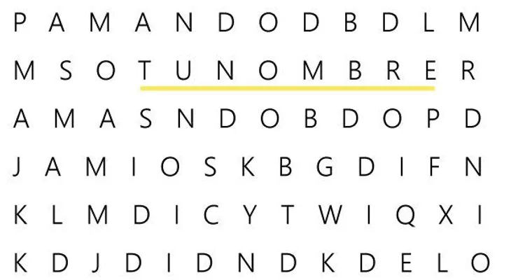 En esta sopa de letra puedes encontrar "tu nombre" 