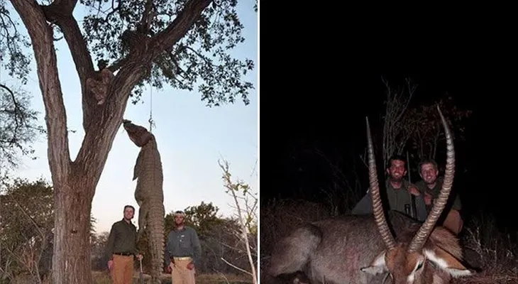 Polémicas imágenes de los hijos de Donald Trump asesinando animales exóticos (Video)