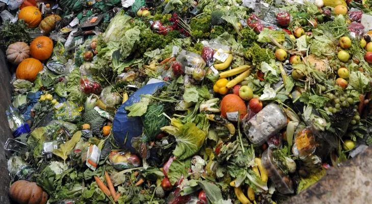 Cambio climático: ¿por qué los líderes mundiales comen 'ensalada de vertedero'?