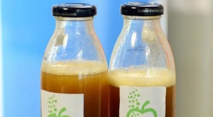 Crean una bebida fermentada que reduce niveles de glucosa y presión