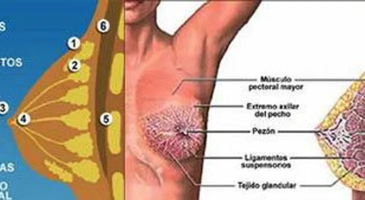 Estaba a punto de morir por un cáncer, me dieron esta bebida y superé el problema por completo