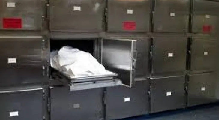 Fallece en Baní nacional norteamericano tras ingerir estimulante sexual "Piedra china"