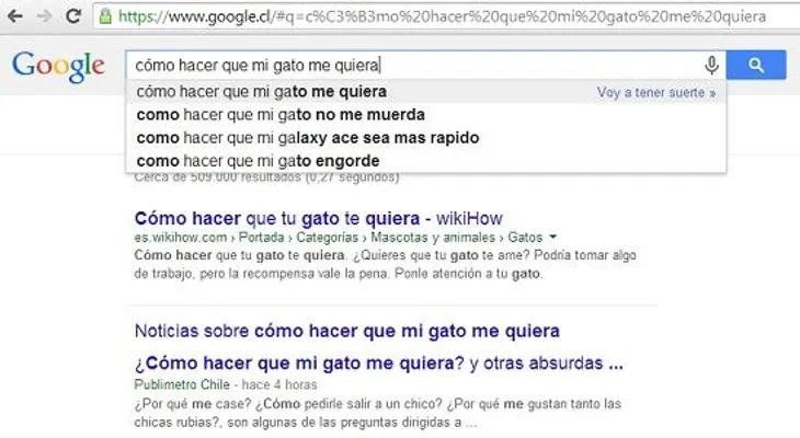 Las búsquedas más absurdas en Google: ¿Cómo hacer que mi gato me quiera? 