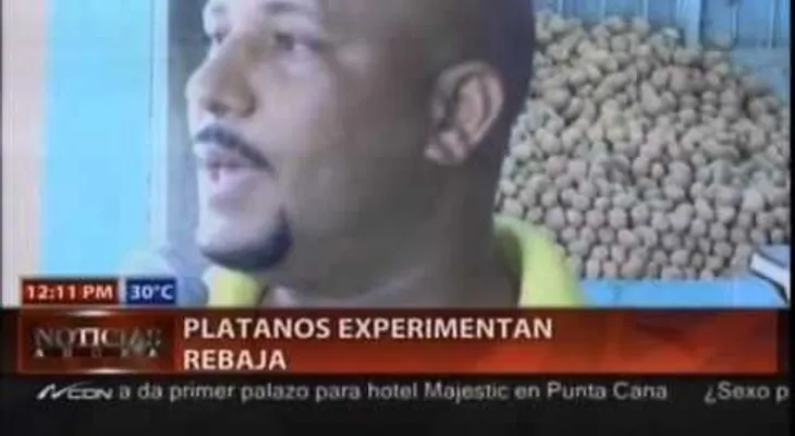 Comerciantes dicen el plátano ha bajado de precio