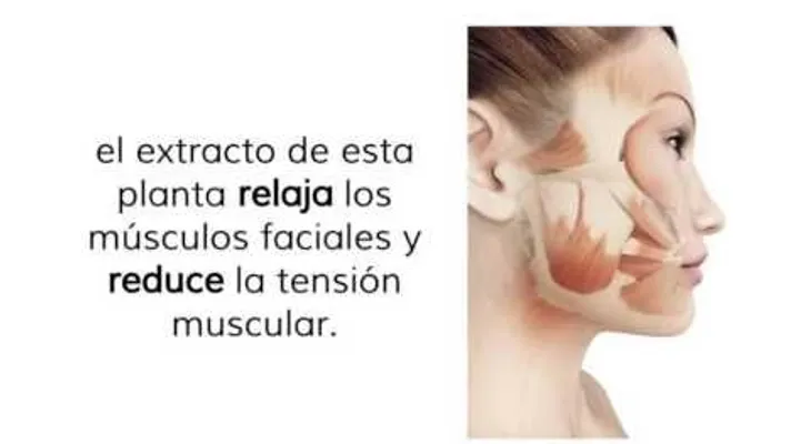 El "ingrediente secreto para que te vea más joven (VIDEO)