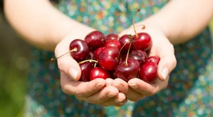 Los beneficios antioxidantes de comer cerezas