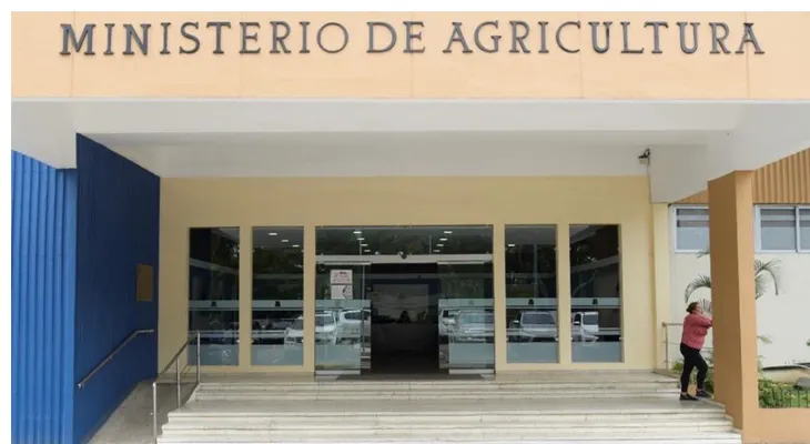 Agricultura impulsa exportación de mangos a EE. UU. y Europa