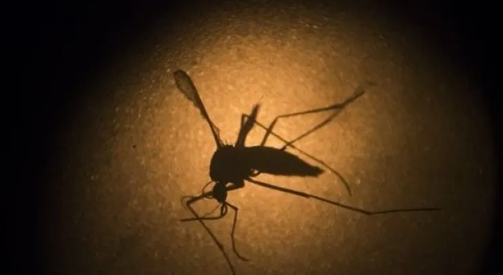 Nace bebé sano de madre infectada con zika en Puerto Rico