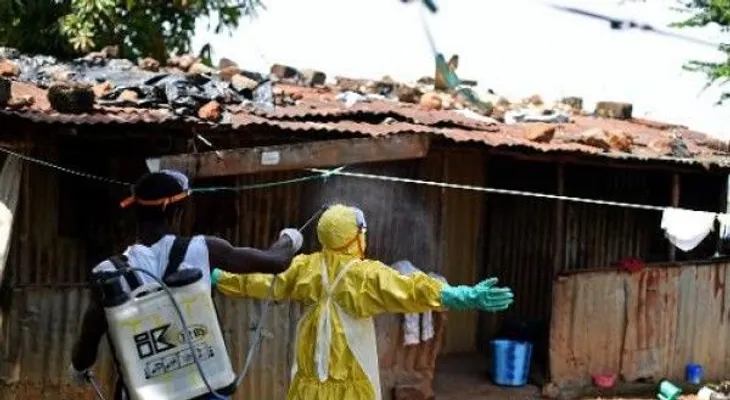 ¿Será 2015 un punto de inflexión para epidemia ébola?