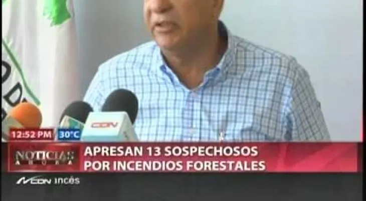 Apresan 13 personas por incendios forestales