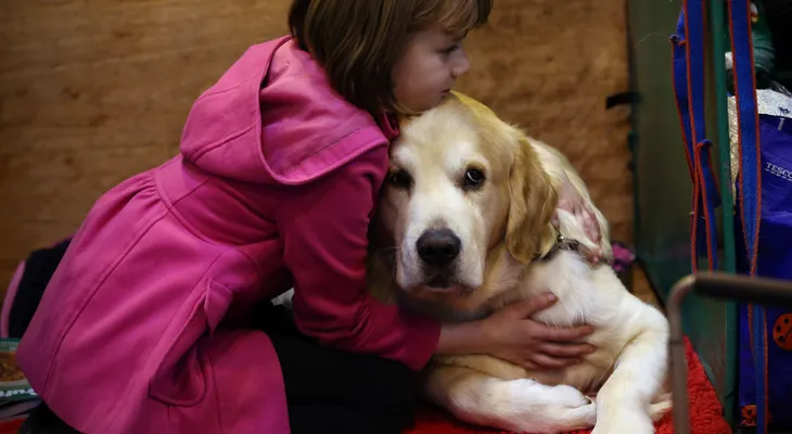 El lazo entre los perros y sus dueños es tan fuerte que sus latidos cardiacos se sincronizan