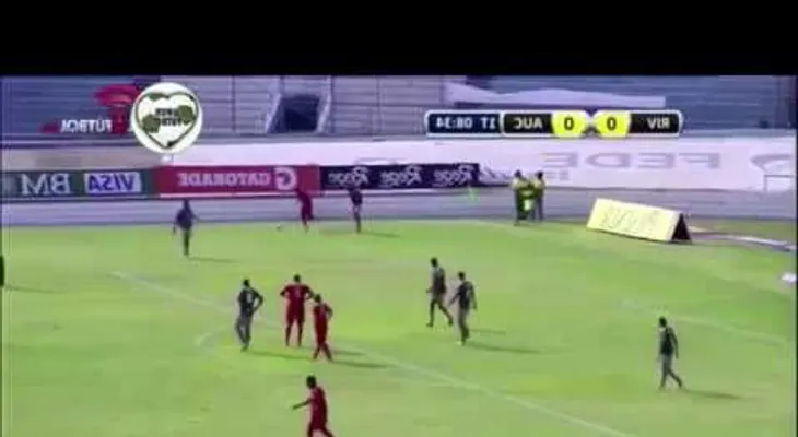 Insólito ataque de abejas paraliza un partido de fútbol en Ecuador (VIDEO)