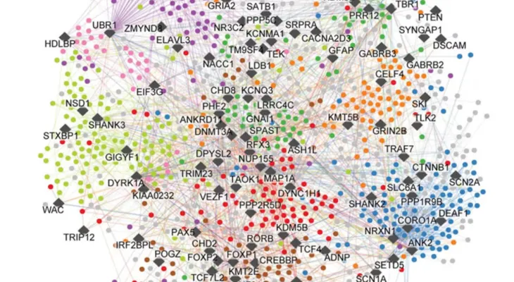 Nuevo mapa molecular del autismo podría impulsar terapias más específicas