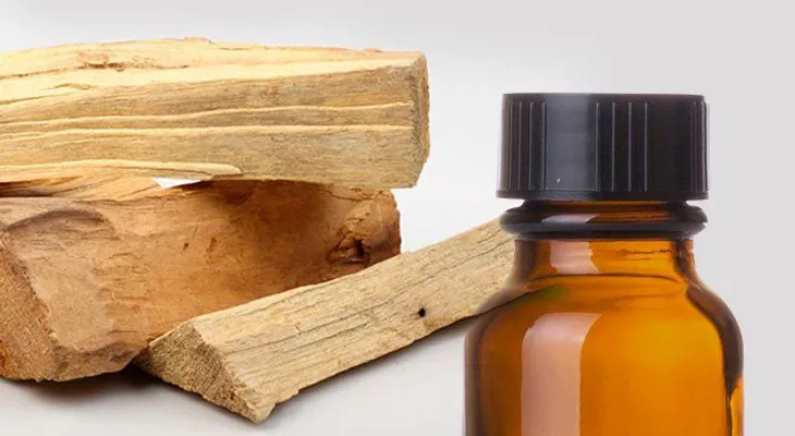 7 usos del aceite esencial de palo santo que te maravillarán