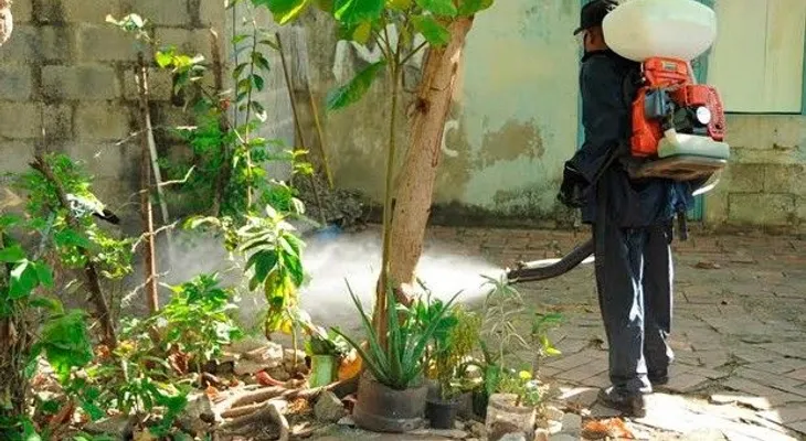 Salud amplía jornada contra el Aedes aegypti