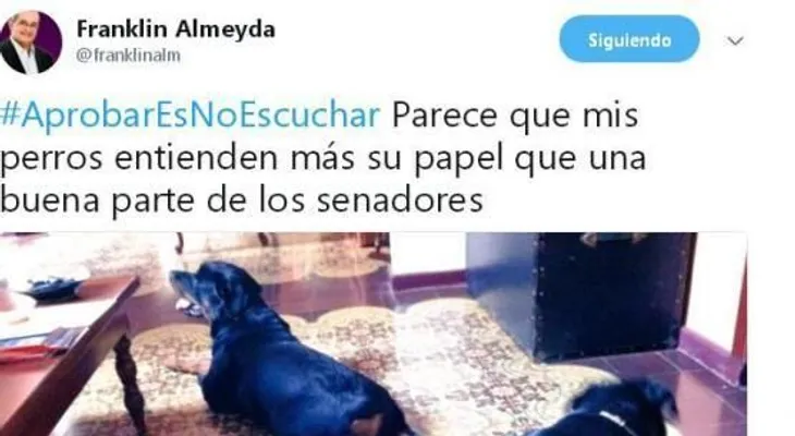 Franklin Almeyda y sus perros más inteligentes que muchos senadores"
