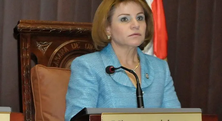 Rojas Gómez: debe ser respetado acuerdo CP del PLD en Cámara de Diputados