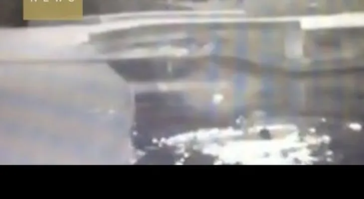 Caminar distraída con el celular le costó la vida a esta mujer
