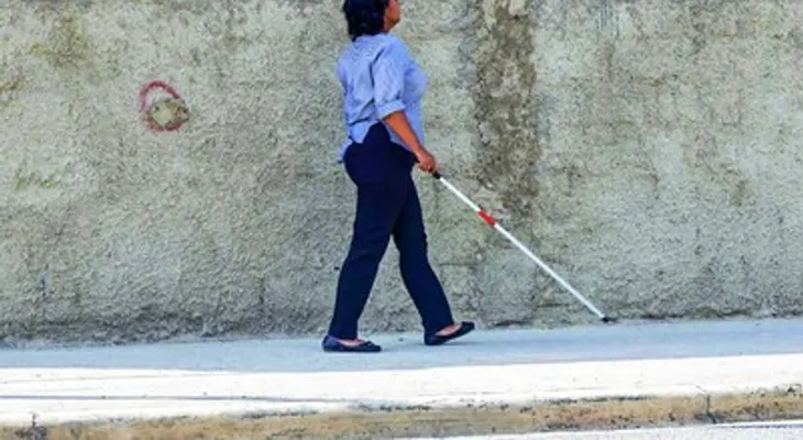 Costo de la educación inclusiva para estudiantes con necesidades específicas