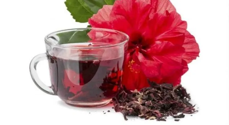 Hibiscus: una flor con grandes beneficios para la salud