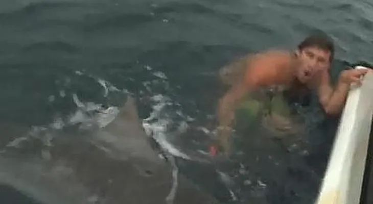 Video: se defiende del ataque de un tiburón con una jaula para pájaros