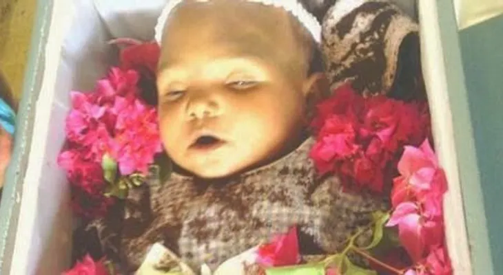 Senador califica "miserable e ilógica" sanción a miembro DNCD por muerte de niña 