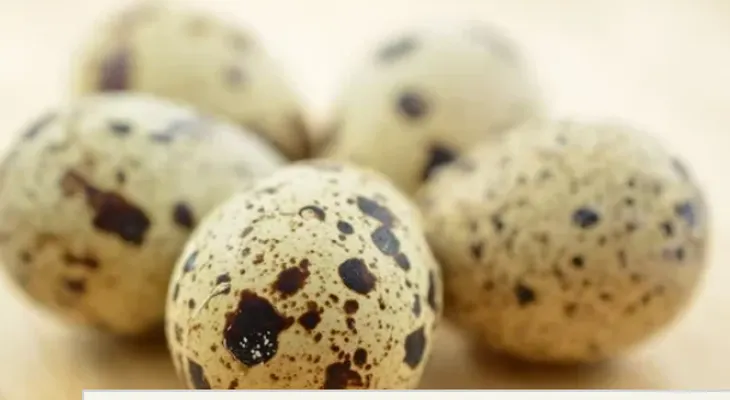 Huevos de Codorniz: El Superalimento que transformará tu salud