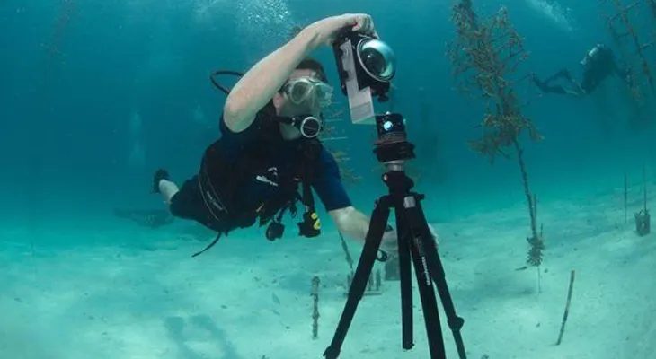 Toman vistas en 360 de arrecifes y vida submarina 