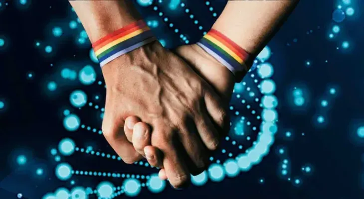 Estudio aborda la supervivencia de la homosexualidad durante la evolución