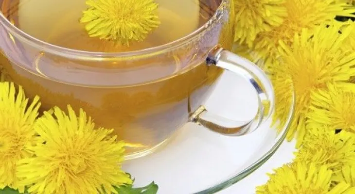 3 Infusiones naturales para fortalecer el páncreas