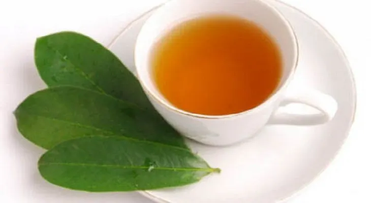 Cómo preparar un té de hojas guanábana para perder peso