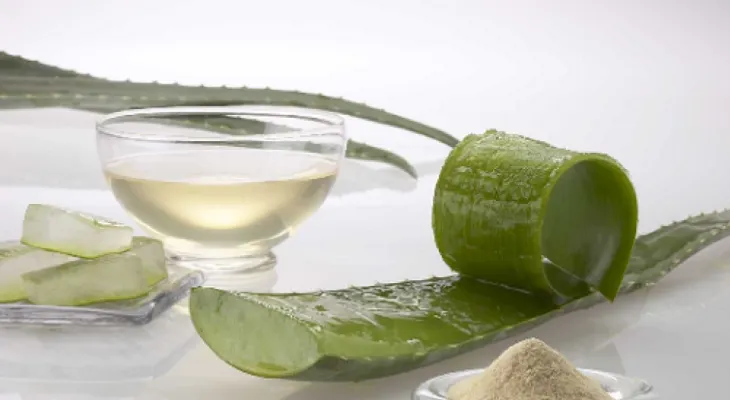 7 mascarillas con aloe vera para cuidar tu cutis
