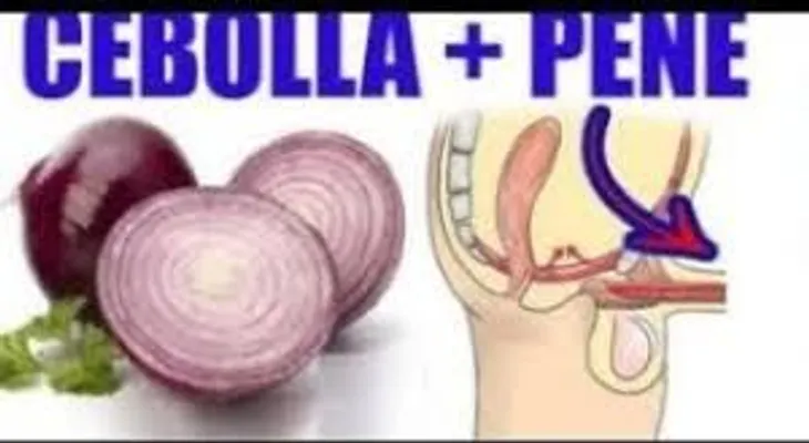 No lo podía creer: los poderosos efectos de la cebolla en el pene