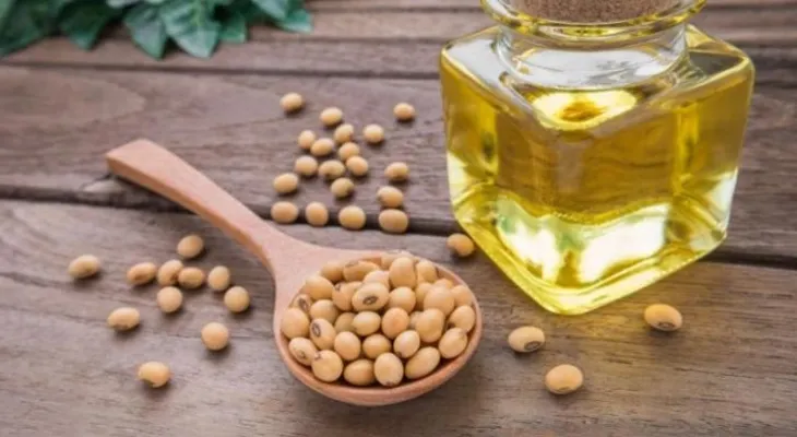 ¡Tienes que saberlo! ¿Cuál es el aceite más sano?