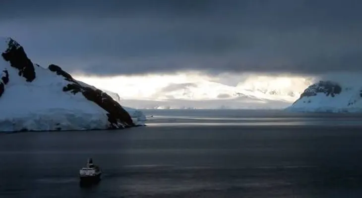 Un 'barco fantasma' lleva a las costas del Reino Unido hordas de ratas carnívoras 