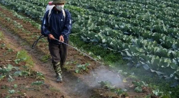5 pesticidas considerados posibles cancerígenos